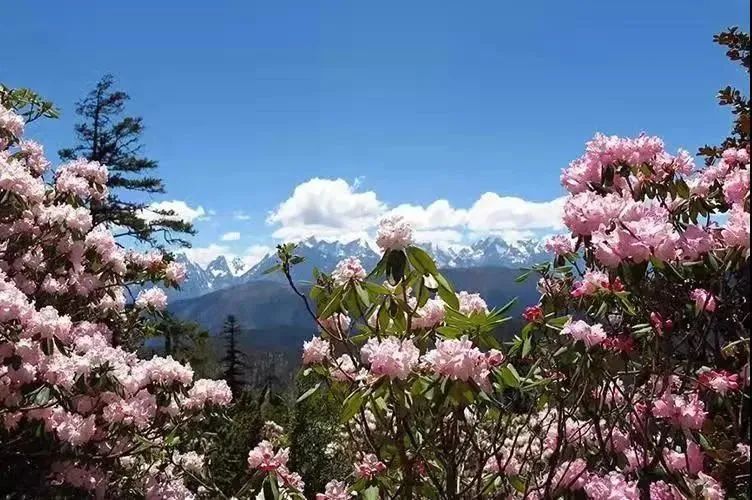 （转载）这里的“仙境”，美上热搜！