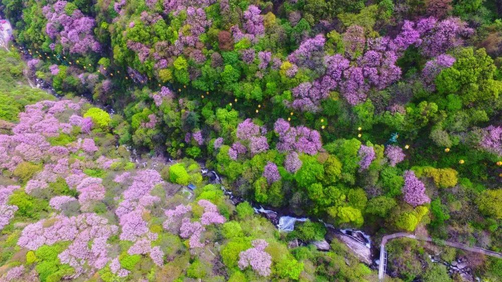 （转载）这里的“仙境”，美上热搜！
