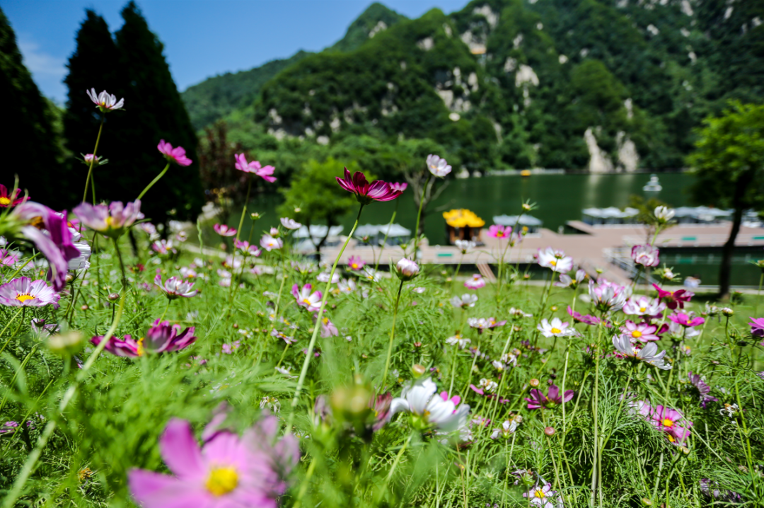 （转载）这里的“仙境”，美上热搜！