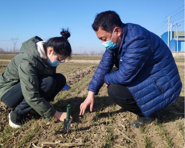 在河北大地繪製最美“春耕圖”