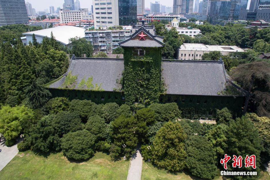 南京高校“绿色树屋”添凉意