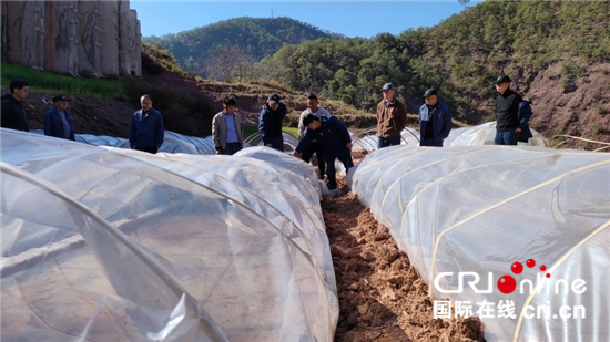 云南中烟楚雄卷烟厂开展技术帮扶_fororder_image001