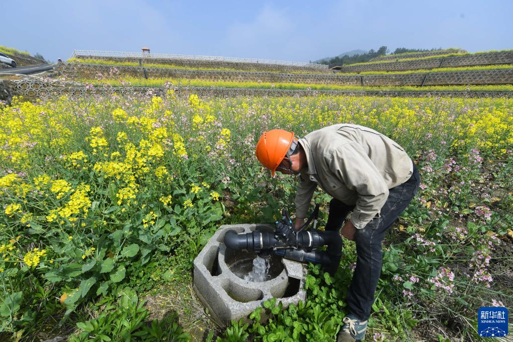 杭州“海绵农田”助力美丽乡村共同富裕_fororder_1