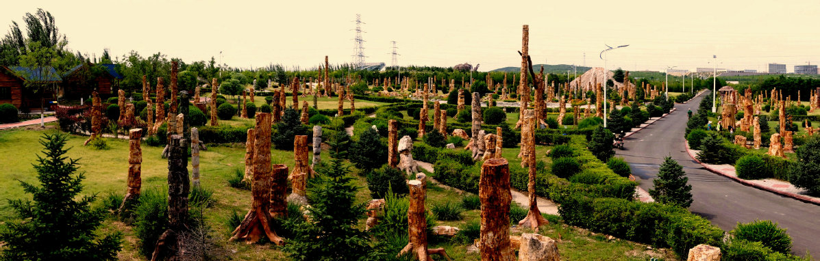 張淑萍:以浪馬項目為示範和引領,拓展朝陽高水準對外開放新空間