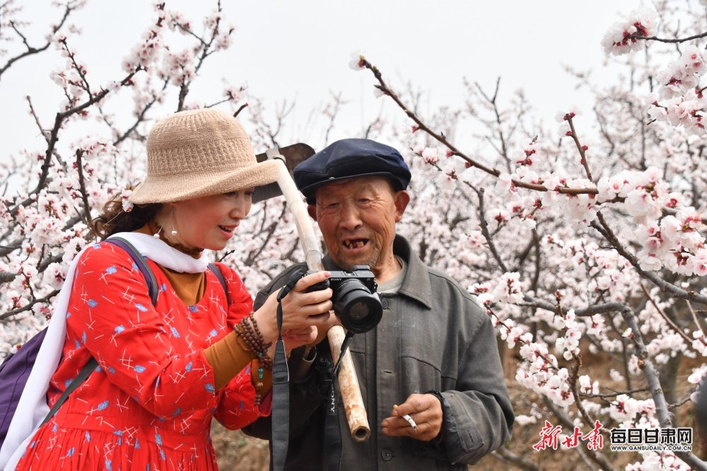 【焦点图轮播+天水列表】细雨清风到新阳 杏花红紫满眼春