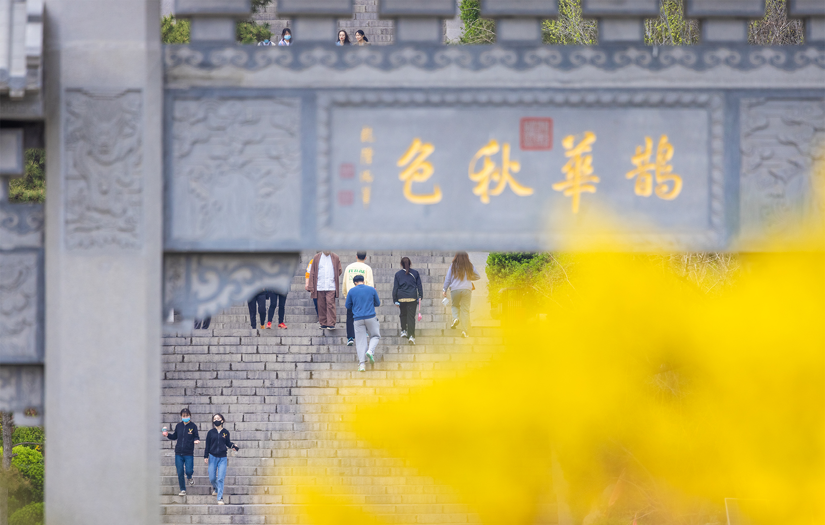 山東好景丨濟南有個小華山，遍地春花撩心弦