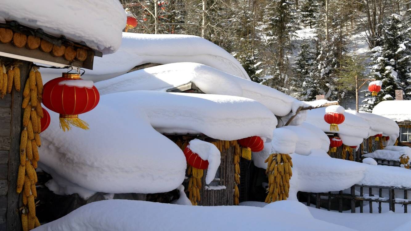 瞄準“冰雪+”，黑龍江為什麼行？