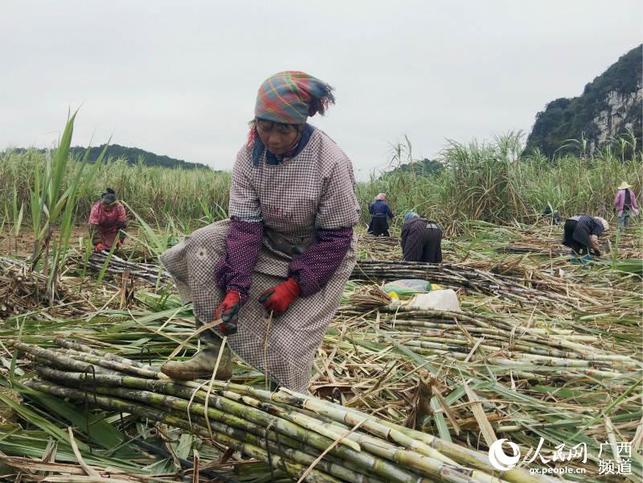 圖片默認標題 圖片默認標題