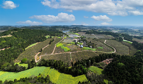 簡陽市:植入新場景 推動農商文旅融合發展_fororder_簡陽市禾豐鎮連山