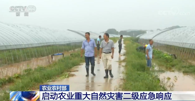 农业农村部：启动农业重大自然灾害二级应急响应