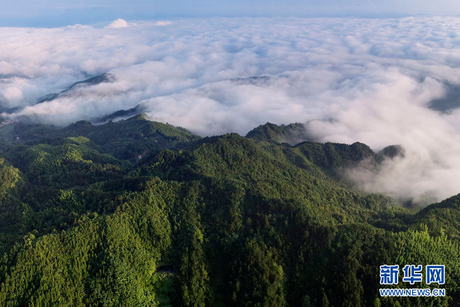 航拍蕲春独山港村 云雾景观美不胜收