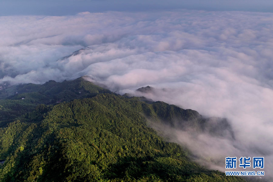 航拍蕲春独山港村 云雾景观美不胜收