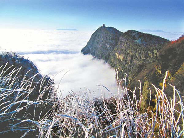 大降溫帶來最美雪景 四川多地開啟賞雪