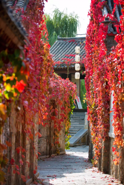 長城下的紅葉小鎮，北京最浪漫的秋天在這裡