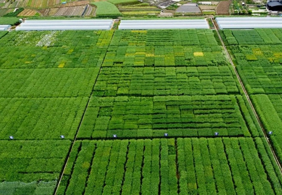 （供稿）贵州思南：调优坝区结构 守住粮食安全_fororder_微信图片_20220406135635