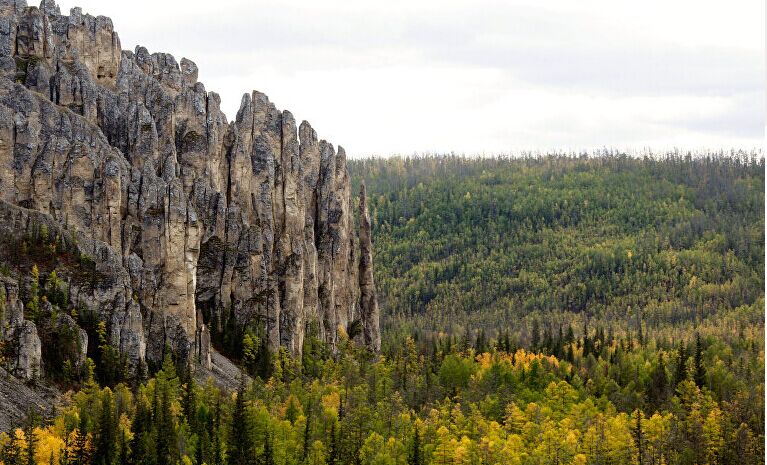 俄罗斯原始森林有多大图片