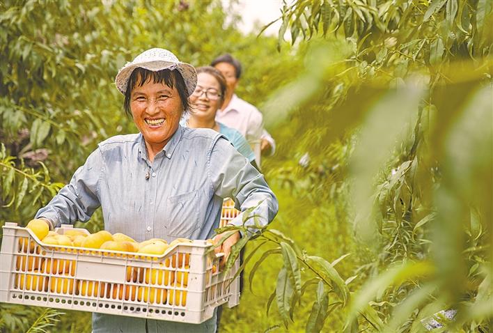 图片默认标题_fororder_微信图片_20190813153548