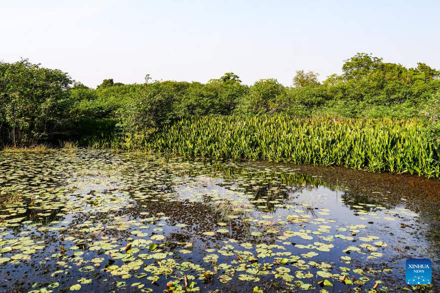 View of Beddagana Wetland Park in Sri Lanka_fororder_5