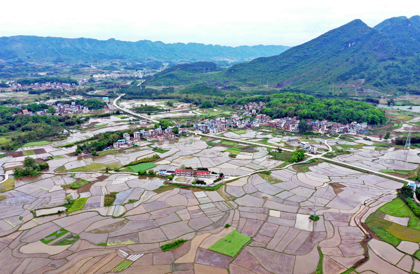 廣西：田園美景入畫來