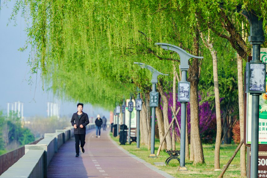 河南汝陽：繁花似錦滿眼春