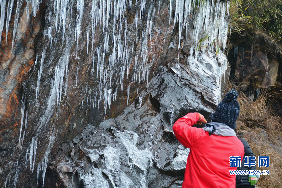 【组图】泉州九仙山上现“雨雾凇”美景