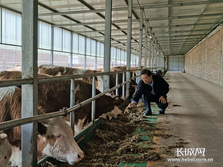 刘景业：让贫困户从“蹲墙根”到忙致富