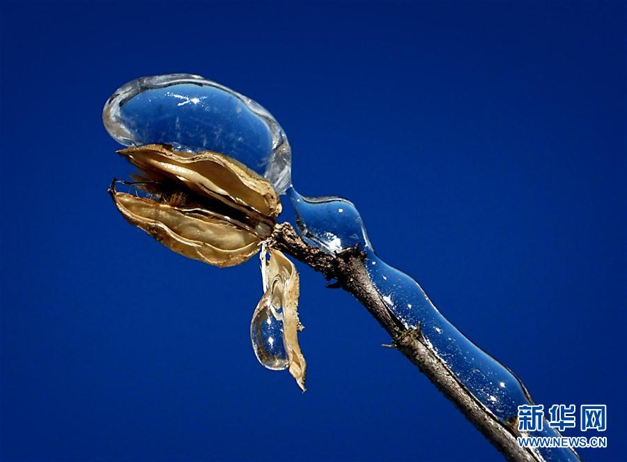 神奇美妙的微观“冰雕”