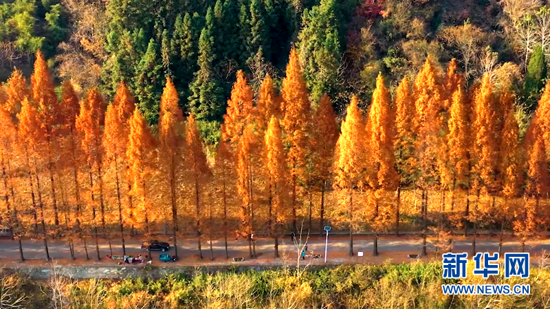 湖北茅箭：山美民富 城市后花园的蝶变之路