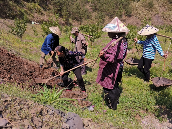 （供稿）貴州碧江：轉變經營管理模式 助推村集體經濟高品質發展_fororder_5de22d62d797d6808a26f1cdc60d05b