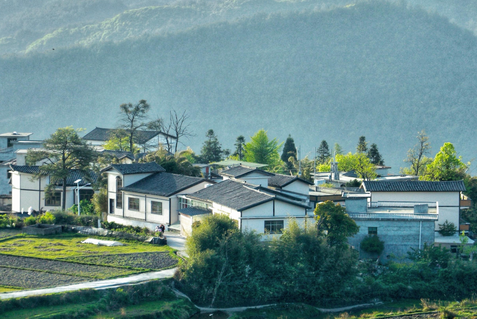 （中首）貴陽花溪石門村：田園間春意盎然