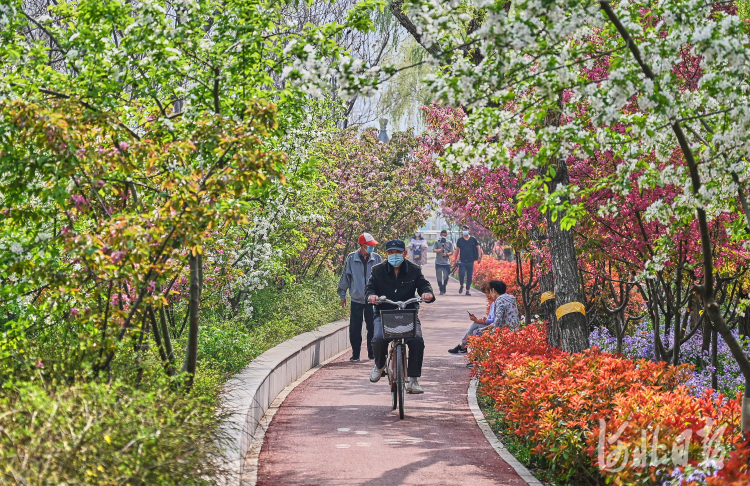 河北石家庄民心步道：赏春游玩好去处