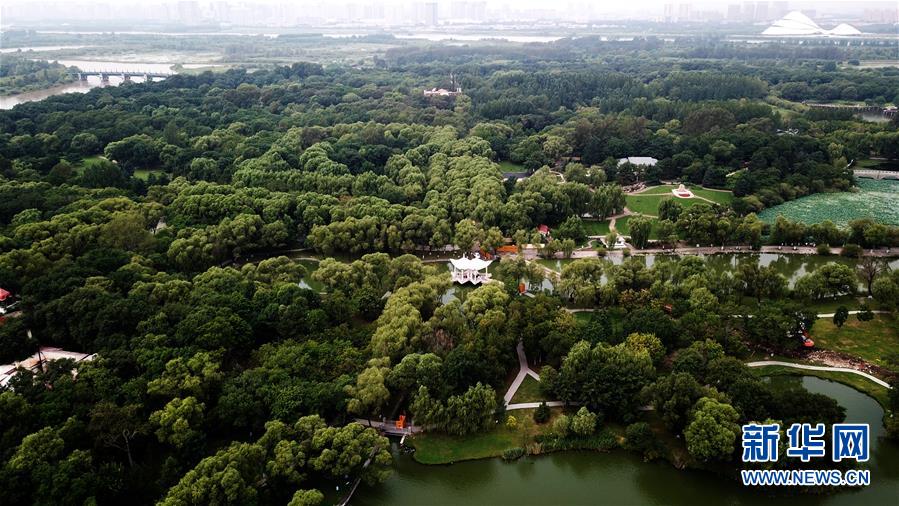 夏花绚烂太阳岛