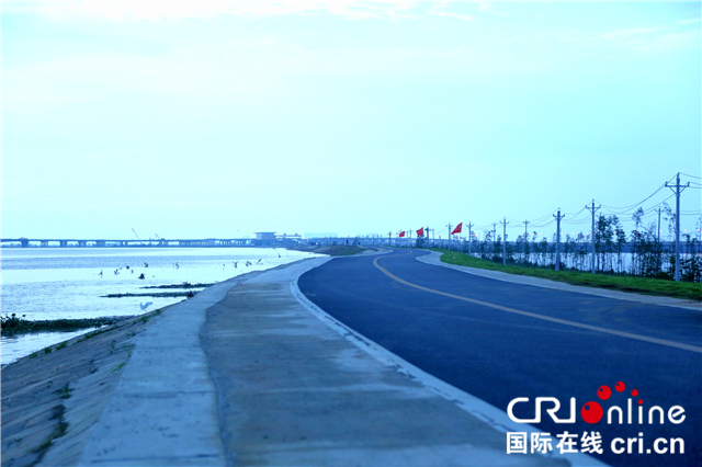 【有修改】【A】乘风破浪战大汛丨党员群众齐上阵 童家湖堤有“靠山”