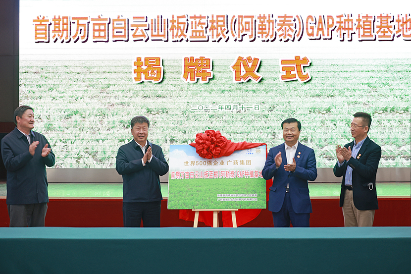 广药集团将在新疆阿勒泰地区建设板蓝根种植基地_fororder_种植基地揭牌仪式 小