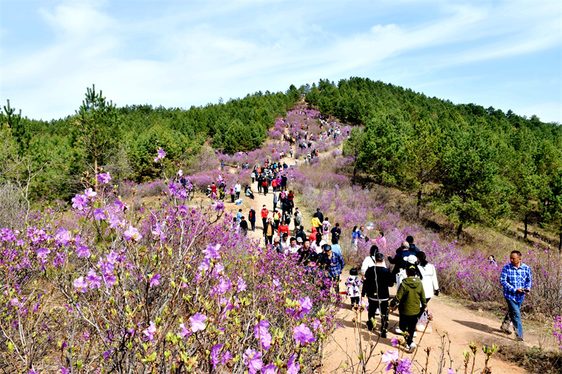 饱览北国春光！双鸭山市推出5大系列特色旅游产品