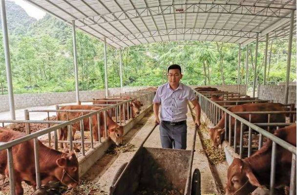 图片默认标题_fororder_銮正村第一书记田轶在牛舍里劳作