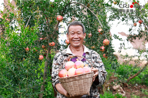 圖片默認標題 圖片默認標題_fororder_006