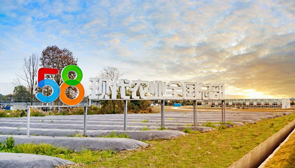 成都：借力“食品+”“农博+”建圈强链路径 新津数字农博助推乡村振兴_fororder_58现代农业-供图-新津区融媒体中心