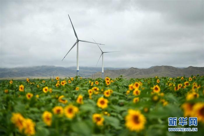 图片默认标题_fororder_3