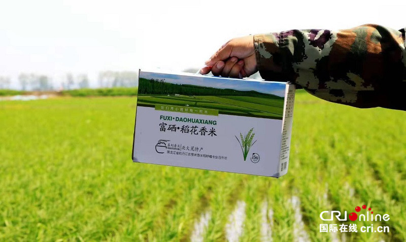 （在文中作了修改）【黑龙江】【原创】八五一一农场：“绿”字号农产品贸洽会上实力“抢镜”