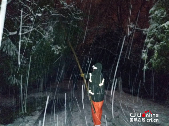 （江苏网络媒体新春走基层专题 图片故事）钟山风景区值守人员雪夜坚守保护古树活化石