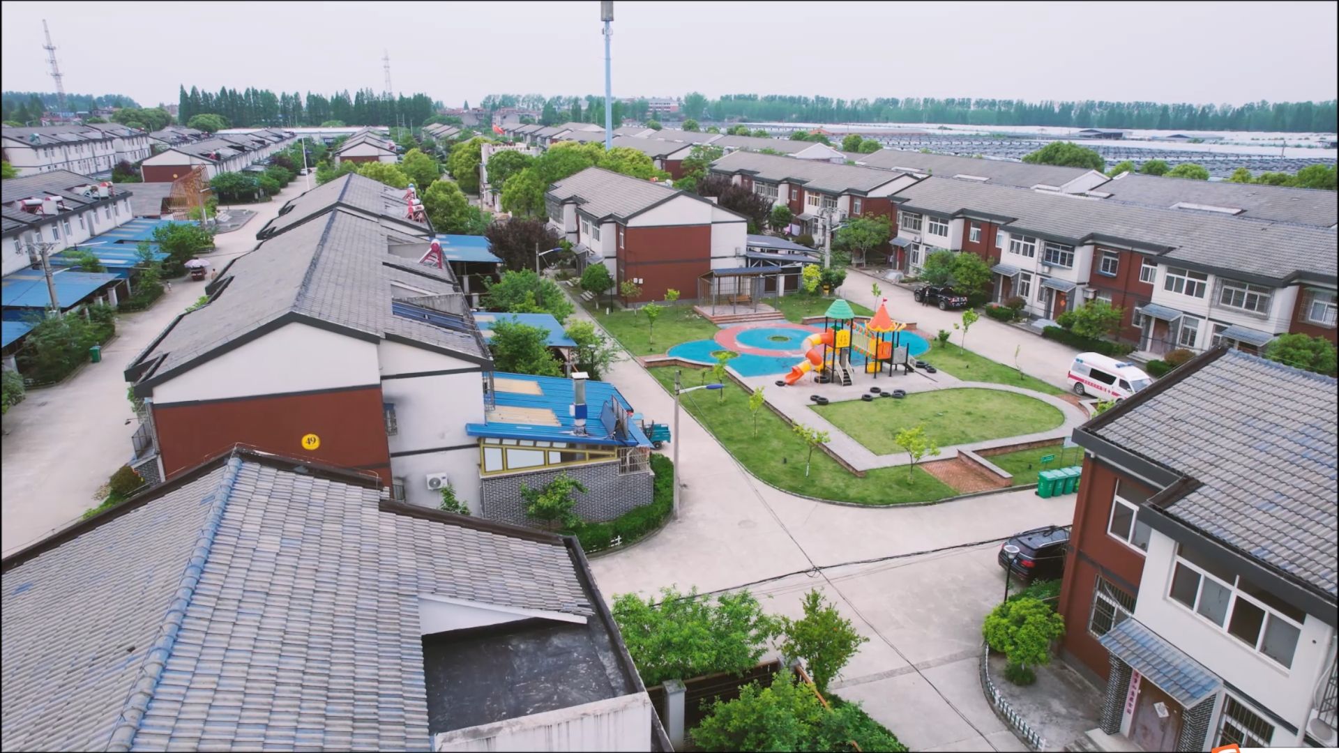 南水北调移民村 “乡愁”长成红樱桃