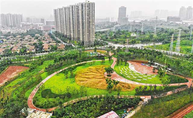 【城市遠洋】重慶兩江新區建成公園上百個
