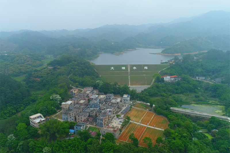 广西兴业县小平山镇：乡村美景入眼来