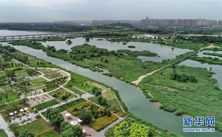 河北石家庄：滹沱河生态治理现美景