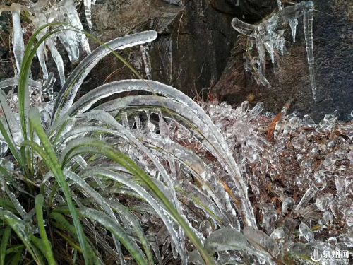 【高清圖4】【滾動新聞】【地市 泉州】安溪現結冰或霜凍 泉州氣象臺繼續發佈霜凍藍色預警