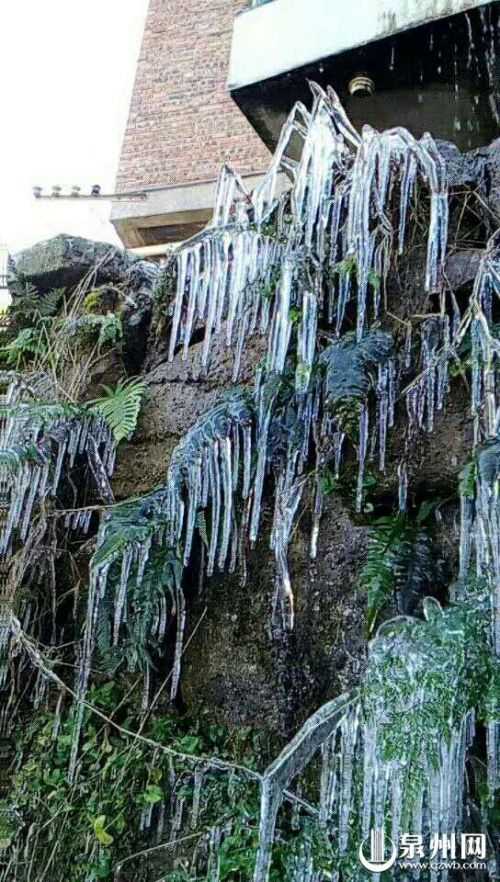 【高清圖4】【滾動新聞】【地市 泉州】安溪現結冰或霜凍 泉州氣象臺繼續發佈霜凍藍色預警