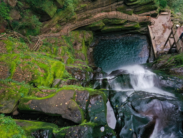四个方面展魅力、八大措施促消费——“来雅‘森’呼吸·避暑纳清凉”主题活动在雅安市雨城区蒙顶山景区启动_fororder_碧峰峡景区-供图-雅安市委宣传部