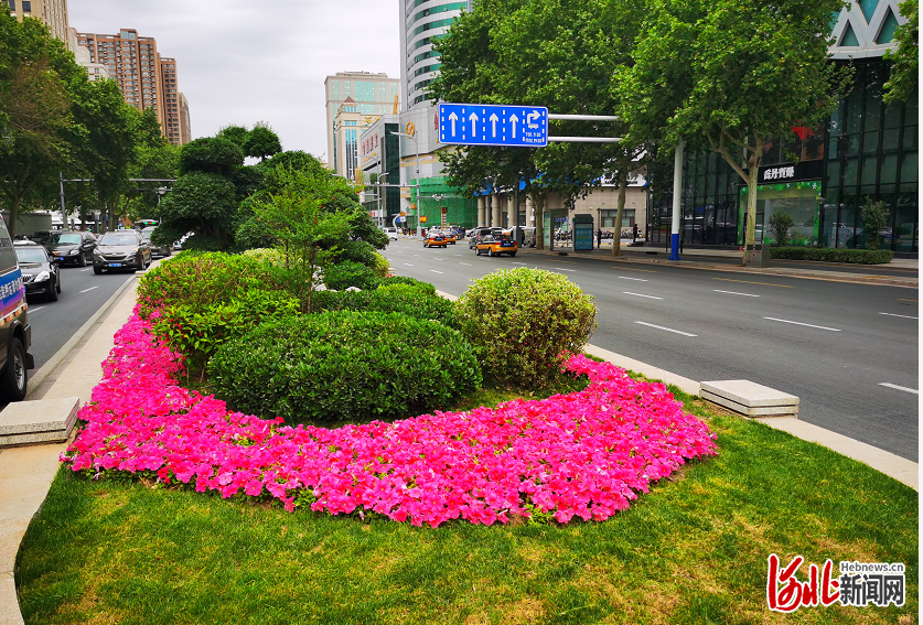 迎“五一” 花箱花球花柱扮靚河北石家莊