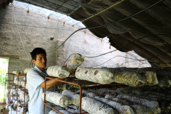 【B】平頂山市魯山縣瓦屋鎮:易地扶貧搬遷戶“兩頭叨食”奔小康